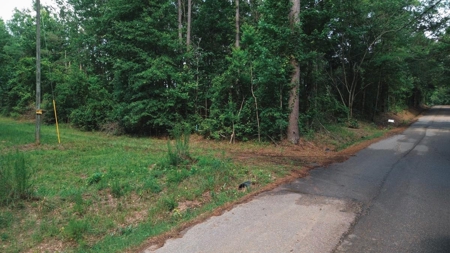 Weston 112 – Timber & Hunting Land in Jackson Parish, LA - image 26