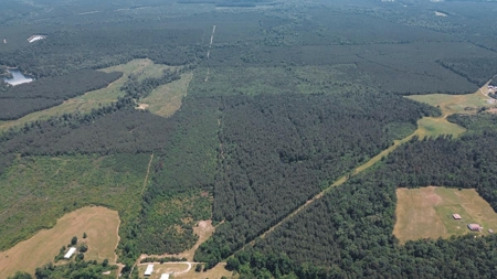 Weston 112 – Timber & Hunting Land in Jackson Parish, LA - image 8