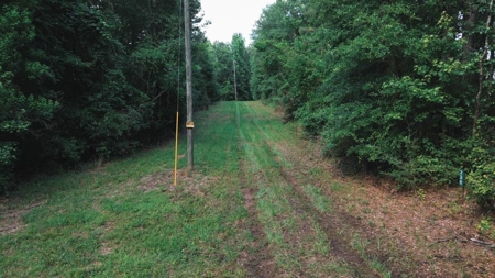 Weston 112 – Timber & Hunting Land in Jackson Parish, LA - image 23
