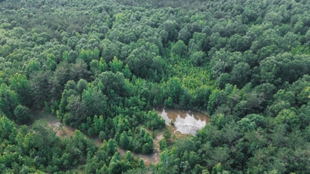 Weston 112 – Timber & Hunting Land in Jackson Parish, LA - image 20