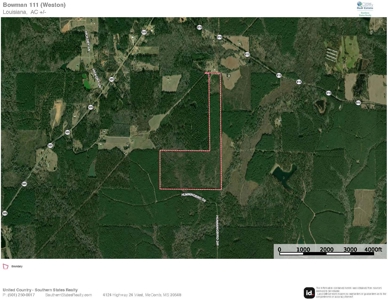 Weston 112 – Timber & Hunting Land in Jackson Parish, LA - image 28