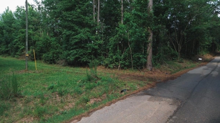 Weston 112 – Timber & Hunting Land in Jackson Parish, LA - image 25