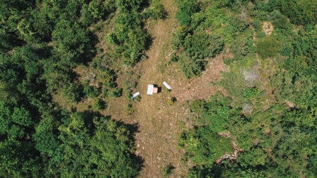 Weston 112 – Timber & Hunting Land in Jackson Parish, LA - image 12