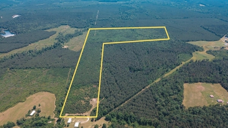 Weston 112 – Timber & Hunting Land in Jackson Parish, LA - image 1
