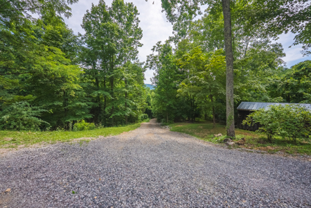 Log Home on Acreage-Hancock County Tennessee For Sale-Thorn Hill - image 41