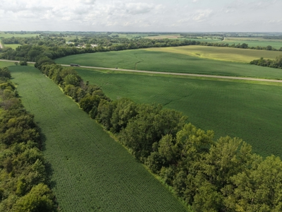 TRACT 1 - 57.78 Taxed Acres in Gentry County, MO - image 4