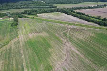 TRACT 1 - 57.78 Taxed Acres in Gentry County, MO - image 4