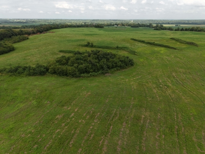 TRACT 2 - 72 Taxed Acres of CRP Investment Farm - image 9