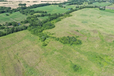 TRACT 2 - 72 Taxed Acres of CRP Investment Farm - image 6