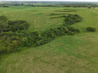TRACT 2 - 72 Taxed Acres of CRP Investment Farm - image 2