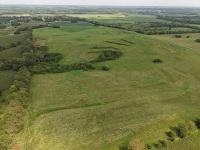 TRACT 2 - 72 Taxed Acres of CRP Investment Farm - image 5