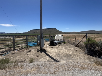 Eastern Oregon Buffalo Pivots Located in Princeton - image 14
