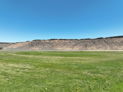 Eastern Oregon Buffalo Pivots Located in Princeton - image 10