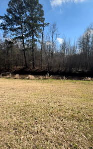 Bayou Frontage, 4.71 acres, a working well and septic - image 7