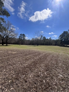 Bayou Frontage, 4.71 acres, a working well and septic - image 1