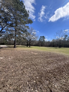 Bayou Frontage, 4.71 acres, a working well and septic - image 3