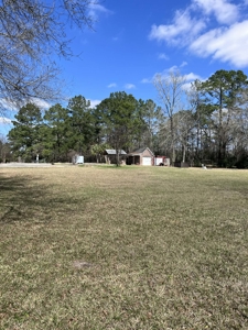 Bayou Frontage, 4.71 acres, a working well and septic - image 2