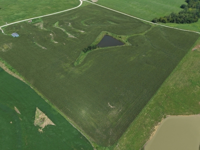TRACT 3 - 38 Taxed Acres in Gentry County, MO - image 6