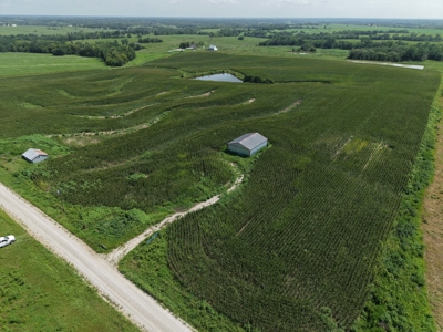 TRACT 3 - 38 Taxed Acres in Gentry County, MO - image 7