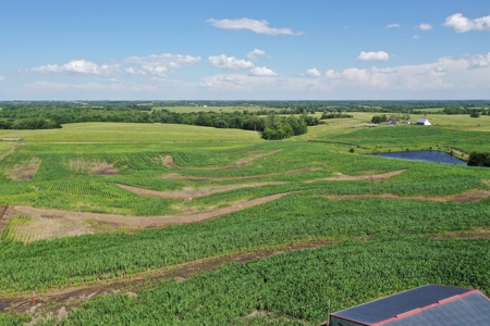 TRACT 3 - 38 Taxed Acres in Gentry County, MO - image 14