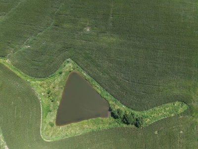 TRACT 3 - 38 Taxed Acres in Gentry County, MO - image 5