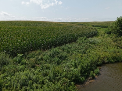 TRACT 3 - 38 Taxed Acres in Gentry County, MO - image 4