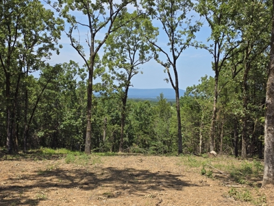 Wister Lake Acreage - Adjoining Wister Wildlife Management Area - image 1