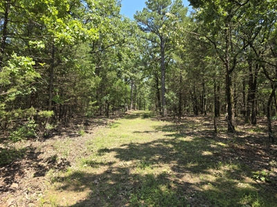 Wister Lake Acreage - Adjoining Wister Wildlife Management Area - image 3