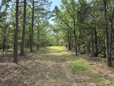 Wister Lake Acreage - Adjoining Wister Wildlife Management Area - image 4