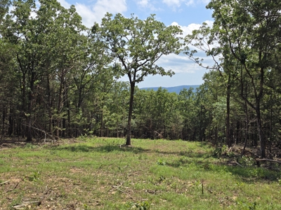 Wister Lake Acreage - Adjoining Wister Wildlife Management Area - image 2