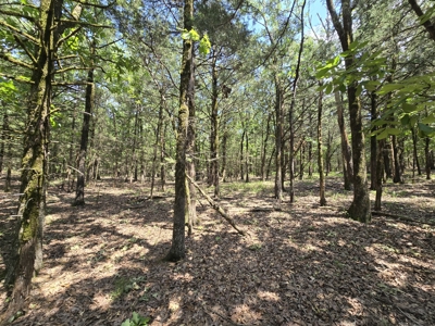 Wister Lake Acreage - Adjoining Wister Wildlife Management Area - image 11