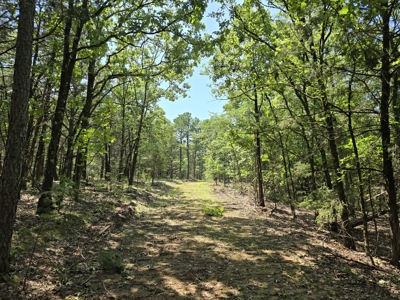 Wister Lake Acreage - Adjoining Wister Wildlife Management Area - image 9