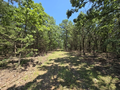 Wister Lake Acreage - Adjoining Wister Wildlife Management Area - image 12