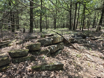 Wister Lake Acreage - Adjoining Wister Wildlife Management Area - image 5