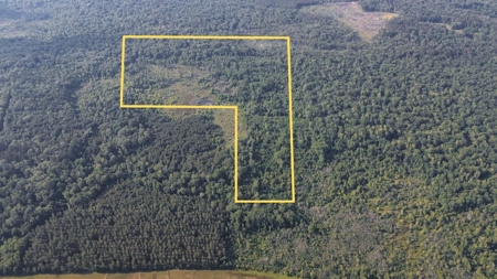 Chatham 72 – HARDWOOD TIMBER & HUNTING JACKSON PARISH LA - image 1