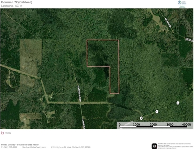 Chatham 72 – HARDWOOD TIMBER & HUNTING JACKSON PARISH LA - image 18