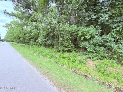 Land For Sale In Hertford North Carolina - image 1
