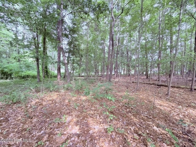 Land For Sale In Hertford North Carolina - image 6