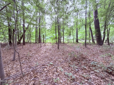 Land For Sale In Hertford North Carolina - image 5