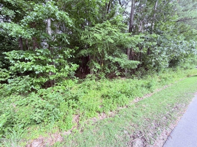 Land For Sale In Hertford North Carolina - image 7