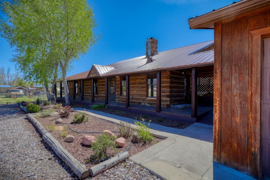 No Caption