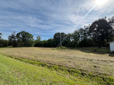 Country Home and Investment Homesite! - image 4