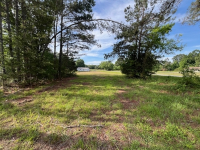 Country Home and Investment Homesite! - image 7