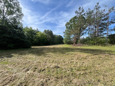 Country Home and Investment Homesite! - image 8
