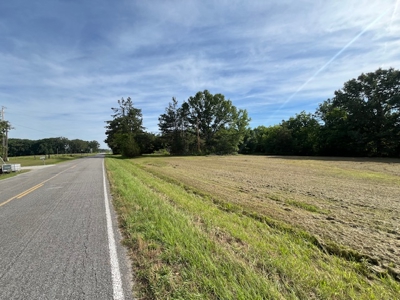Country Home and Investment Homesite! - image 5