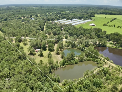 Home for sale in Geneva County on 5.50 ac with ponds Kinston, AL - image 35
