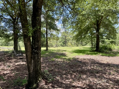 Home for sale in Geneva County on 5.50 ac with ponds Kinston, AL - image 40