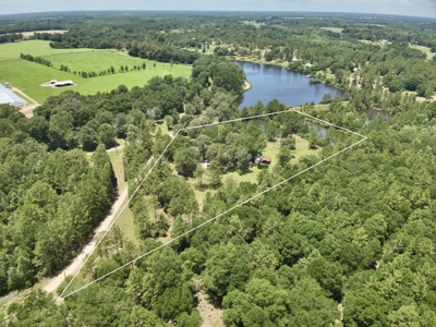Home for sale in Geneva County on 5.50 ac with ponds Kinston, AL - image 37