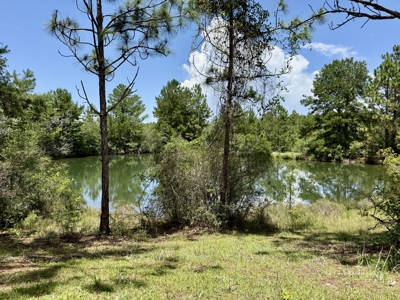 Home for sale in Geneva County on 5.50 ac with ponds Kinston, AL - image 29