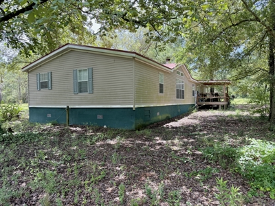 Home for sale in Geneva County on 5.50 ac with ponds Kinston, AL - image 32